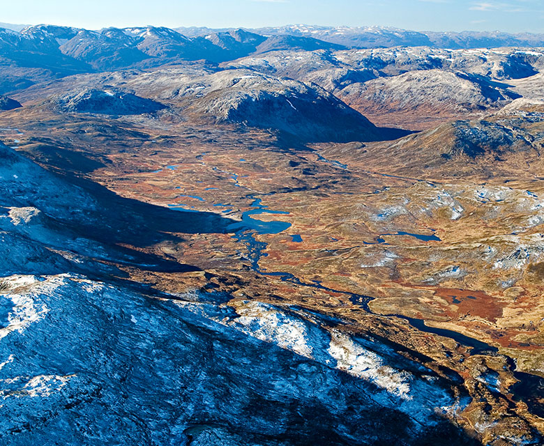 Grånosmyrane ved Nærøyfjorden